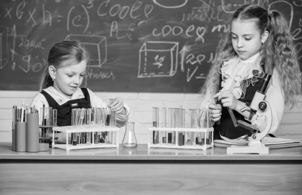 Parceiros de laboratório. Análise química e observação da reação. Tubos de ensaio com substâncias coloridas. Equipamento escolar para laboratório. Meninas na aula de química da escola. Crianças ocupadas com experiências — Fotografia de Stock