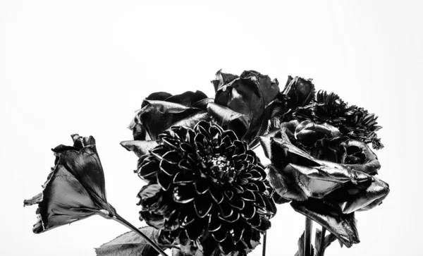 Schöne schwarze silberne Blume. silberne schwarze Chrysantheme und Rosenblüte. metallisiertes antikes Dekor. Vintage-Retro. Reichtum und Reichtum. Floristik. Grunge-Schönheit. isoliert auf weiß — Stockfoto