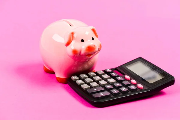Piggy bank symbol of money savings. Services for accounting. Accounting software. Finances and investments. Piggy bank pink pig and calculator. Accounting and family budget. Accounting business
