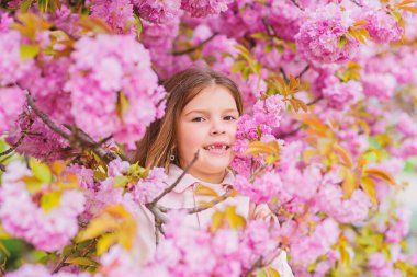 Pembe çiçekler sakura ağaç arka plan üzerinde Çocuk. Çocuk alerjisi olmadan hayatın tadını çıkarın. Çiçek koklamak. Alerji ilacı. Polen alerjisi kavramı. Mevsimsel alerjiden kurtulun. Çiçek aroması zevk Kız