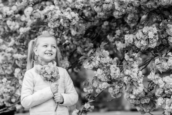 Pollen allergie concept. Kid op roze bloemen Sakura boom achtergrond. Allergie remedie. Kind geniet van het leven zonder allergie. Snuiven bloemen. Zich te ontdoen van seizoensgebonden allergie. Meisje genieten van florale aroma — Stockfoto