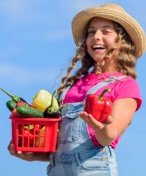 Afiyet olsun. hasat vitamini. Bahar pazarı bahçesi. Sepette küçük bir sebze kız. Çok doğal. Mutlu küçük çiftçi. Sonbahar hasadı. Çocuk yaz çiftliğinde. Organik yiyecekler. çocuklar için sağlıklı yiyecekler — Stok fotoğraf