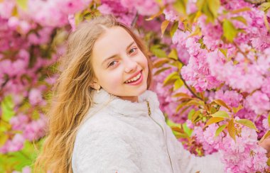 Parlak ve canlı. Yumuşak ve yumuşak. Pembe aklımda. Pembe benim favorim. Küçük kız baharın tadını çıkarır. Sakura ağaç bahçesinin çocuk pembe çiçekleri. Pembe kiraz çiçeğinin tadını çıkaran çocuk. İhale çiçek