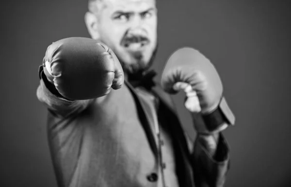 knockout and energy. Fight. businessman in formal suit and bow tie. Business and sport success. powerful man boxer ready for corporate battle. bearded man in boxing gloves punching. no pain no gain
