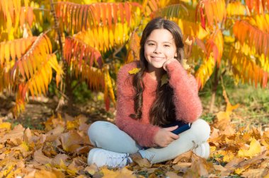 Küçük yaşlar için bilgi. Kitabı olan tatlı küçük bir kız sonbahar yapraklarına oturur. Sevimli küçük çocuk kitaptan bilgi alıyor. Bilgi günü veya 1 Eylül. Eğitim ve bilgi
