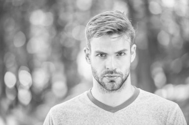 Büyüleyici bir güven. Sarışın adam. Şık saç kesimi ile tıraşsız bıyık ve sakal saçlı adam. Bulanık doğal arka plan üzerinde rahat tshirt yakışıklı adam. Yaz gününde kafkas adam