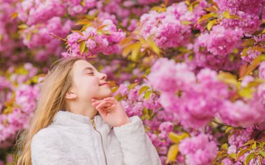 Çiçek koklamak. Çocuk ılık baharın tadını çıkarır. Çiçek aroması zevk kız. Botanik kavramı. Çocuk kiraz çiçeği sakura zevk. Yumuşak pembe bulutlar gibi çiçekler. Sakura ağacı arka plan pembe çiçekler üzerinde Çocuk