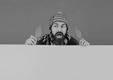 Ekim Zamanı fikir. Şapkalı adam kiraz ağacı yaprakları tutar