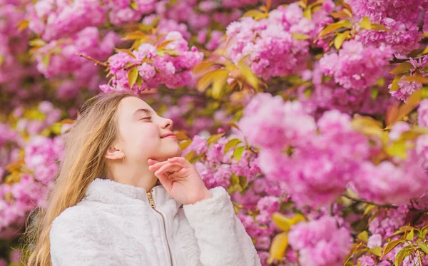 花を嗅ぎまわって子供は暖かい春を楽しんでください。花の香りを楽しむ女の子。植物学の概念。桜を楽しむ子供。柔らかいピンクの雲のように花。桜の背景のピンクの花の子供 — ストック写真