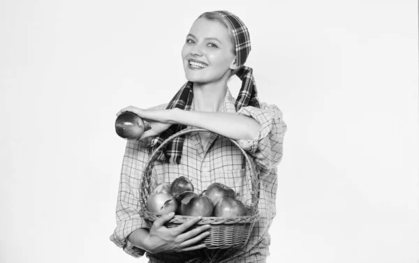 Zacznij dietę jabłkowy. Kobieta nosić kosz z naturalnymi owocami. Rolnik ogrodnik jabłka zbiorów. Dziewczyna ogrodnik rustykalny styl trzymać jabłka białe tło. Opieka zdrowotna i odżywianie witamin. Idealne jabłka — Zdjęcie stockowe