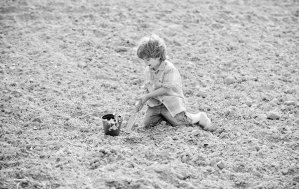 Spaß am Bauernhof. Gartenkonzept. Kinder vergnügen sich mit Schaufel und Pflanze im Topf. Bepflanzung auf dem Feld. Setzlinge pflanzen. Kleine Helfer im Garten. Junge sitzt auf dem Boden und pflanzt Blume auf Feld — Stockfoto