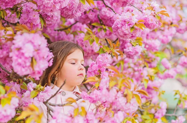 Bli av säsongsbunden allergi. Flicka njuter av blommig arom. Kid på rosa blommor Sakura Tree bakgrund. Barn njuter av livet utan allergi. Sniffa blommor. Allergi botemedel. Pollen allergi koncept — Stockfoto