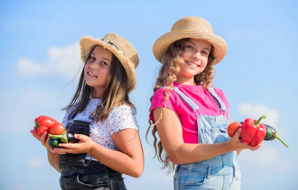 Crescido com amor. legumes meninas pequenas. É natural. colheita de vitamina. Primavera mercado jardim. agricultura infantil. colheita de outono. crianças na fazenda de verão. Comida orgânica. comida saudável é a vida feliz — Fotografia de Stock