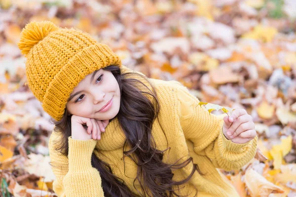 Ottobre è di nuovo qui. Ragazza premurosa raccogliere foglie autunnali il giorno di ottobre. Bambino piccolo rilassarsi il fogliame ottobre. Moody ottobre. Paesaggio idilliaco autunno — Foto Stock