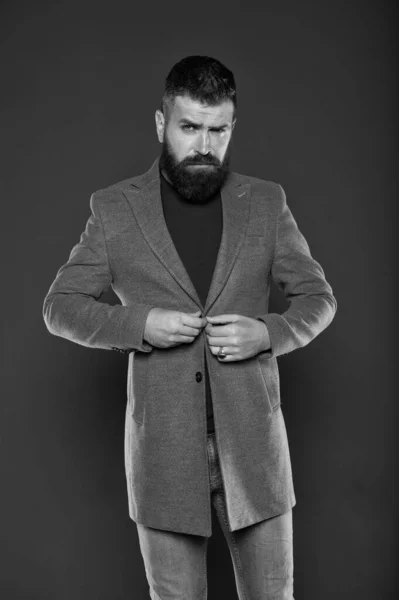 Choosing trendy outfit perfect for his style. Brutal hipster wear fashionable mustache and beard hair style. Bearded man buttoning casual style jacket on grey background. There is style for every man