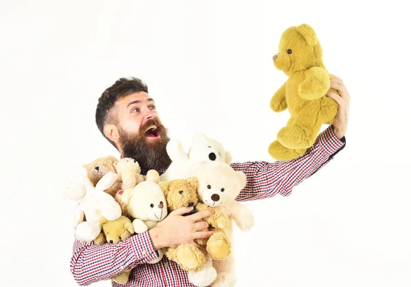 Macho com barba segurar brinquedos de pelúcia ou ursinhos de pelúcia — Fotografia de Stock