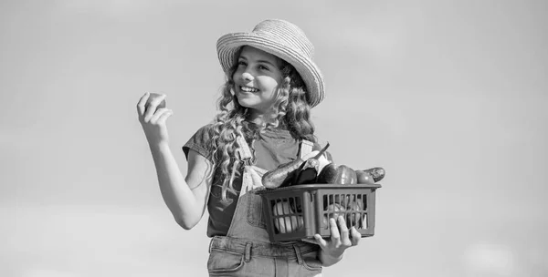 Dinner pause. little girl vegetable in basket. Only natural. harvest vitamin. spring market garden. happy little farmer. autumn harvest. kid on summer farm. Organic food. healthy food for children — Stock Photo, Image