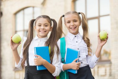 Çalışmaya hazır iki küçük kız. Ödevlerinizi birlikte yapın. Elmayla öğle yemeği molasında kız kardeşler. sağlıklı ve mutlu bir çocukluk. Kardeşlik ve dostluk. Okuldan en iyi arkadaşlar. Hoş zaman harcamaları