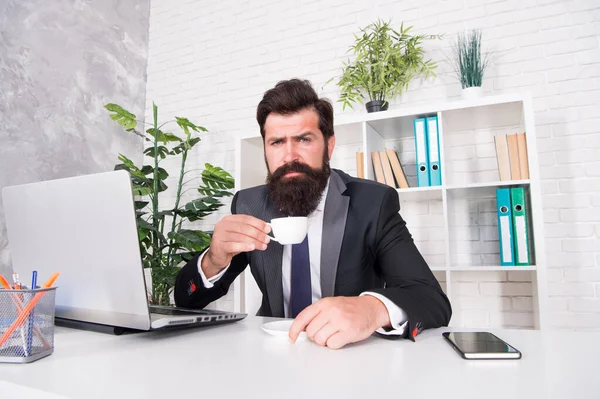 Discuss business over coffee. Respectable ceo. Man handsome boss sit in office drinking coffee. Comfy workspace. Bearded hipster formal suit relaxing with coffee. Office life routines. Good morning
