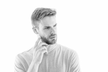 Erkek berber dükkanı. Tıraşsız bir adam beyazda izole edilmiş. Sakallı sarışın adam. Berber servisi. Berberlik. Berber dükkanı. Kuaför salonu. Profesyonel berber. Saç kesimi ve traş, kopyalama alanı