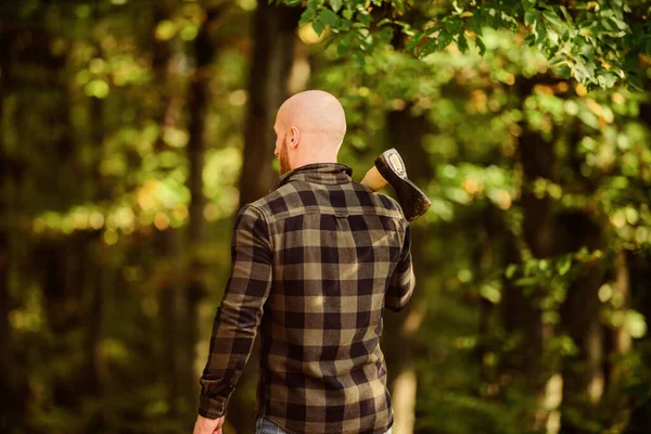 Vandra semester. Vandra i skogen. Skogsvård. Bestämning av mänsklig ande. Man rutig skjorta använder yxa. Brutal hane i skogen. Makt och styrka. Skogshuggaren bär yxa. En skallig skogshuggare. Skörda ved — Stockfoto