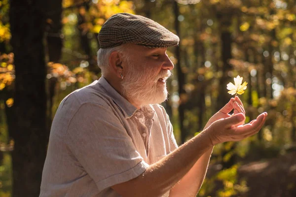 Se skönhet i enkla saker. Nyfikenhet på botanik. Utforska världen runt. Pensionär vandring i skogen på solig höstdag. Människan njuter av höstens natur. Gubben samlar löv. Skäggig farfar i skogen — Stockfoto