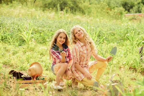 Θερινή δραστηριότητα. Αδελφές χαριτωμένα παιδιά βοηθούν στη φάρμα. Κορίτσια φυτεύουν φυτά. Φύτευση και πότισμα. Χαρούμενα παιδιά που εργάζονται στον κήπο. Σχέδιο γεωργίας. Καλλιέργεια λαχανικών. Φυτικά λαχανικά — Φωτογραφία Αρχείου