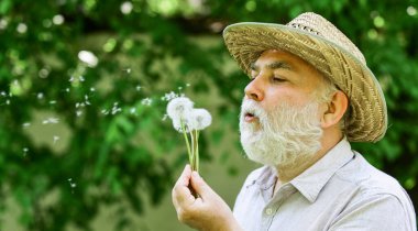 Yalnız dede parkta karahindiba tohumu saçıyor. Akıl sağlığı. Huzur ve sükunet. Ruhun ahengi. Hasır şapkalı yaşlı bir adam. Mutlu ve kaygısız emeklilik. İçim rahat olsun. Huzur.