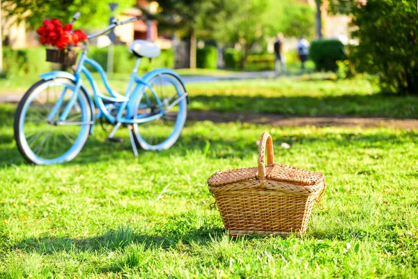 Piknik idő. Vintage kerékpár kert háttér. Kerékpárt bérelni a város felfedezéséhez. Természeti kerékpáros túra. Retro kerékpár piknik kosárral. A kerékpárkölcsönző üzletek elsősorban utazókat és turistákat szolgálnak ki. — Stock Fotó