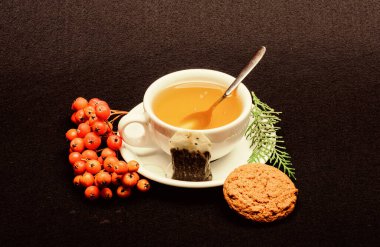 Lezzetli gurme tadı. Seramik fincan sıcak demlenmiş çay içeceği. Sağlık hizmetleri kocakarı ilaçları. Aromatik bir içecek iç. Kafe restoran menüsü. Siyah arka planda bir fincan çay yakın plan. Bitki çayı.