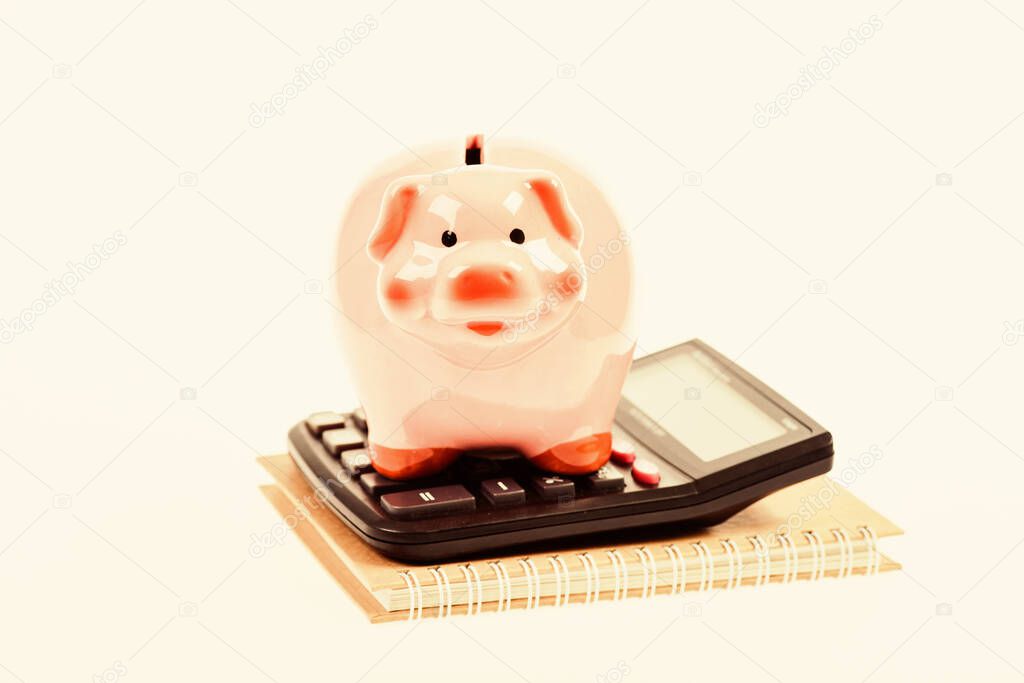 Accounting software. Finances and investments. Piggy bank pink pig and calculator. Accounting and family budget. Accounting business. Piggy bank symbol of money savings. Services for accounting