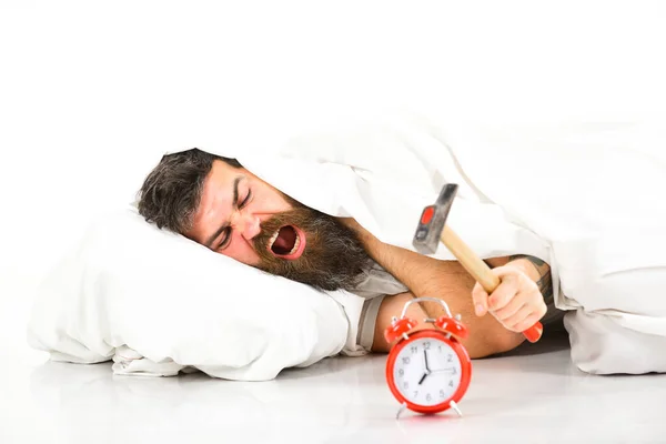 Man suffers in morning, destroys alarm clock, white background. — Stock Photo, Image