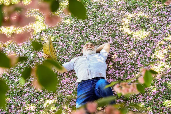 Positieve emoties. Vrolijke gepensioneerde. Gelukkig glimlachende opa die opkijkt. Een man die geniet van het leven. Verenigd met de natuur. Goed humeur. Gelukkige ouderdom. Geestelijke gezondheid. Gelukkige man onder sakura boom naar boven kijkend — Stockfoto