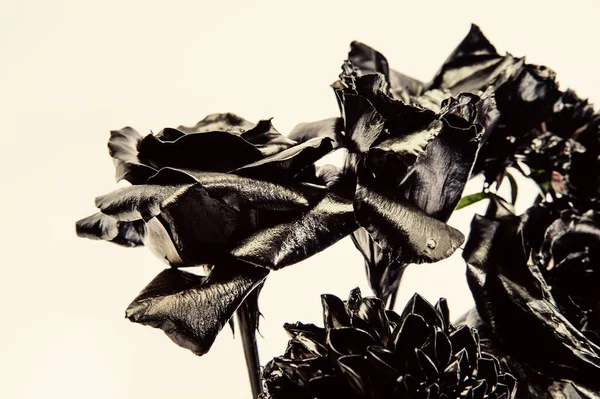Metalen bloem. Smeden en beeldhouwen. Mooie zwarte zilveren bloem. Metaalstalen kleur. Bloemenwinkel. Bloem bedekt metallische verf. Abstracte kunst. Eeuwige schoonheid. Modeboeket. Concept plantkunde — Stockfoto