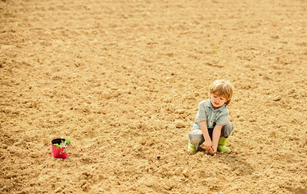 Φυτεύω σπόρια. Το παιδί διασκεδάζει με το φτυάρι και φυτεύει στην κατσαρόλα. Φυτεύω στο χωράφι. Ένας μικρός βοηθός στον κήπο. Αγόρι φυτεύει λουλούδια σε χωράφι σκάβοντας έδαφος. Μητρική φύση. Εργασίες στη γεωργική εκμετάλλευση — Φωτογραφία Αρχείου