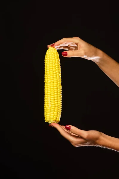 Espiga de milho em dedos de meninas. Mão feminina segura milho — Fotografia de Stock