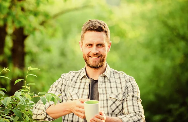 Bebida refrescante. Homem barbudo chá agricultor segurar caneca fundo da natureza. Plantação de chá verde. Chá de folha inteira. Momento agradável de autocuidado. Bebida natural. Estilo de vida saudável. Eu prefiro chá verde — Fotografia de Stock