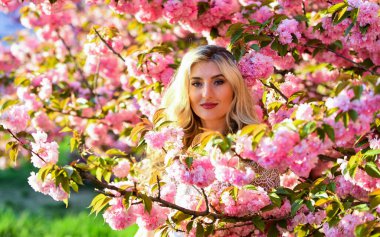 Şefkat ve kadınlık. Kiraz ağacı. Çiçek aroması. Çiçeklerin kadınları mutlu etmesinin nedenleri. Dinlen ve tatil yap. Bahar çiçeği. Mutlu bahar günleri. Bahar sembolü Kız bahçede sakura 'nın tadını çıkarıyor.