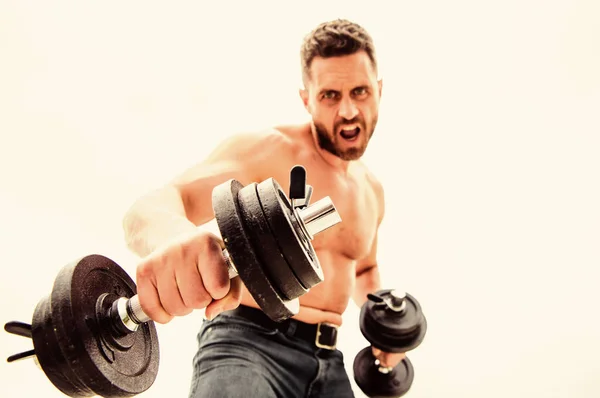 Équipement sportif. Parfait pack de six. corps athlétique. Gymnase d'haltères. fitness santé diète. homme sportif avec un torse ab fort. stéroïdes. Homme musclé faisant de l'exercice avec haltère. objectif et succès — Photo