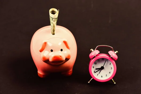 Piggy bank fyllda dollar kontanter och väckarklocka. Finanskrisen. Bankkonto. Konkurs och skuld. Betala för skulden. Banksamlartjänst. Kreditskuld. Ekonomi och finans. Det är dags att betala. — Stockfoto