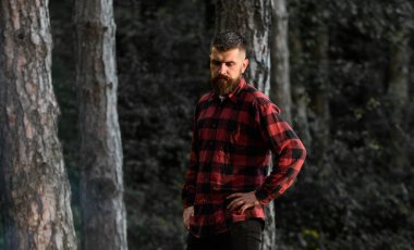 Sakin, yorgun yüzlü ve sakallı bir adam.