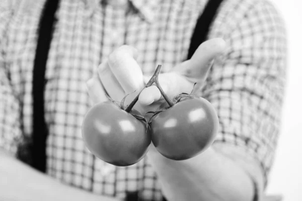 Forma delgada y concepto de dieta saludable. El hombre sostiene tomates rojos — Foto de Stock