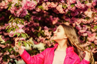 Bahar zamanı cilt için doğal kozmetik ürünleri. Bahar çiçeğindeki küçük kız çocuğu çiçek açar. Kiraz çiçekli mutlu kız. Sakura ağacı çiçek açıyor. Çiçek kokusu, alerji. Yaz. Çocukluk güzelliği