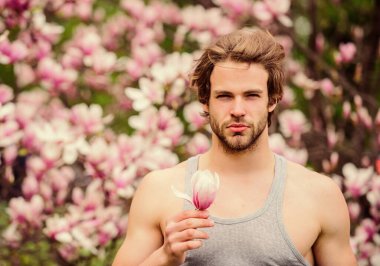 Erkek çiçekli arka plan çözüldü. Botanik doğası. Erkek güzeli. Hippi çiçek aromasının tadını çıkarır. Bahar güzeli. Saç stili. Saç bakımı ve güzellik. Tıraşsız erkek manolyası çiçek açar. Güzel saç stili