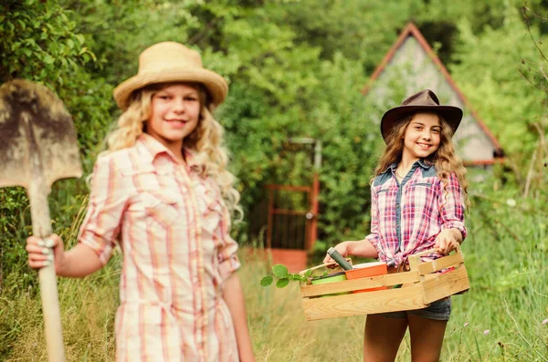 Travailler avec plaisir. écologie et protection de l'environnement. agriculture et agriculture. printemps côté campagne. petites filles agricultrices dans le village. Jour de la Terre. ferme familiale d'été. enfants tiennent des outils de jardinage — Photo