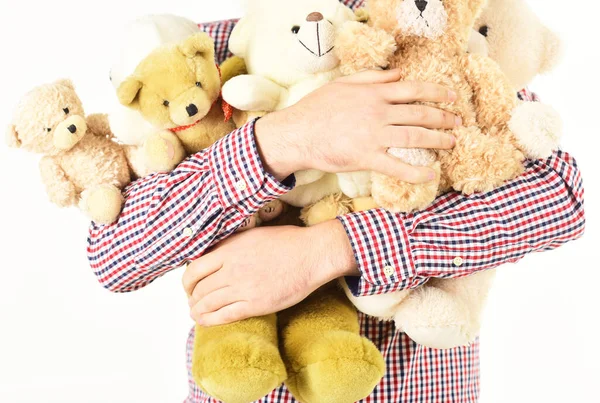 Male hands with bunch of stuffed animals. — Stock Photo, Image