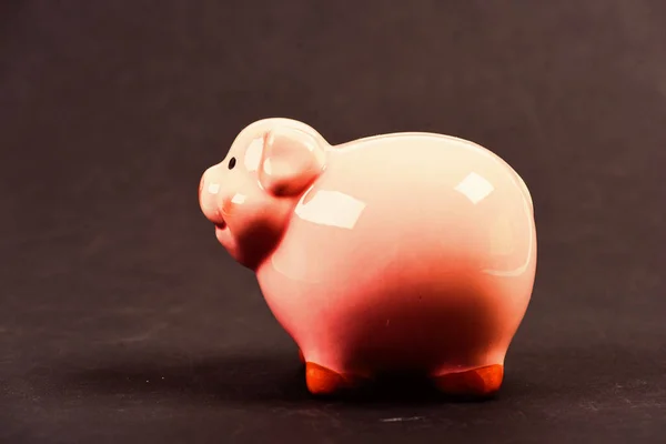 Piggy bank symbol of money savings. More ideas for your money. Accounting and family budget. Finances and investments bank. Bank deposit. Financial education. Piggy bank adorable pink pig close up