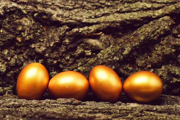 Boomschors met traditionele paaseieren op hout, antiek — Stockfoto