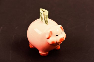 Piggy Bank 'ın pembe domuzu bir dolarlık banknot parası doldurmuş. Para biriktir. Kredi konsepti. Tasarruf. Banka hesabı. Maaş kazan. Para bütçe planlaması. Finansal refah. Ekonomi ve finans