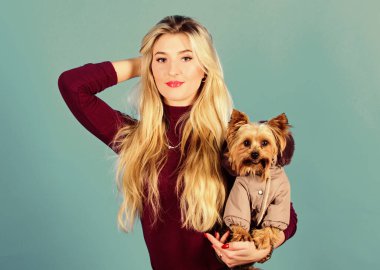 Sarışın kız, küçük köpeğe sarıldı. Kıyafet ve aksesuarlar. Hayvan malzemeleri. Soğuk hava için giyinen köpek. Hangi köpek ırkı ceket giymeli? Yorkshire Teriyeri taşıyan bir kadın. Köpeklere kıyafet lazım.